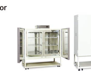 Large size incubator