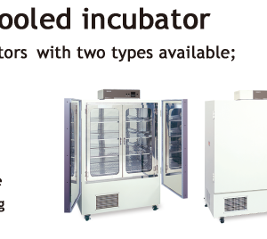 Large sized cooled incubator